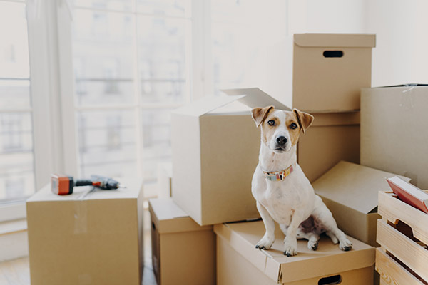 Residential Moving Company in Sacramento, CA